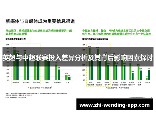 英超与中超联赛投入差异分析及其背后影响因素探讨