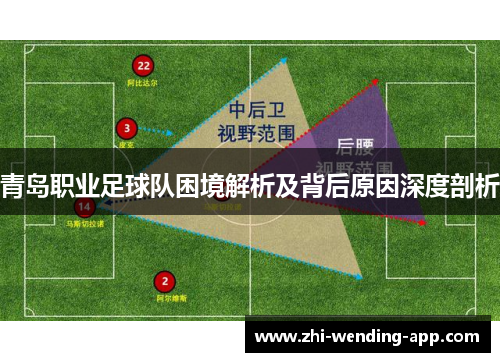 青岛职业足球队困境解析及背后原因深度剖析